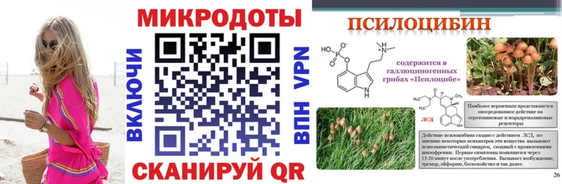 Купить закладки  Северобайкальск  Псилоцибиновые грибы GOLDEN TEACHER 